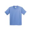Gildan 76000B 小童T-Shirt | 印Tee | 印T-Shirt | 班Tee | 印衫 | 班衫 | 絲印 | 熱轉印 | DTG
